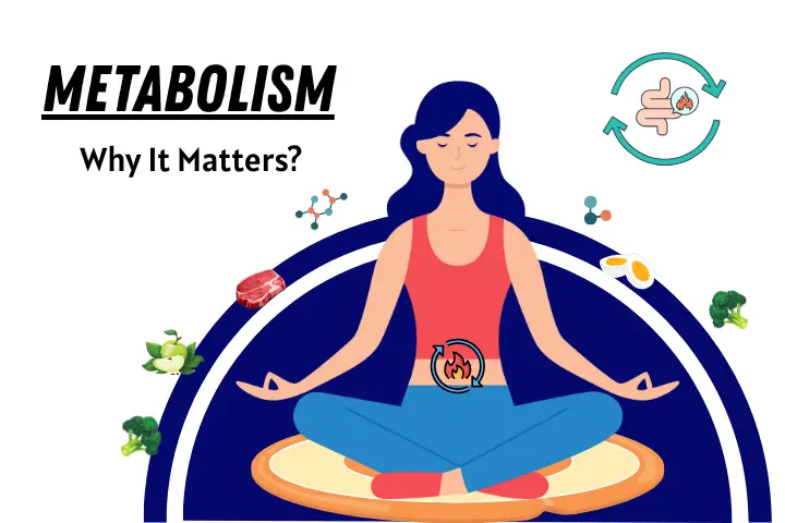 beginner metabolism boosting workout plan